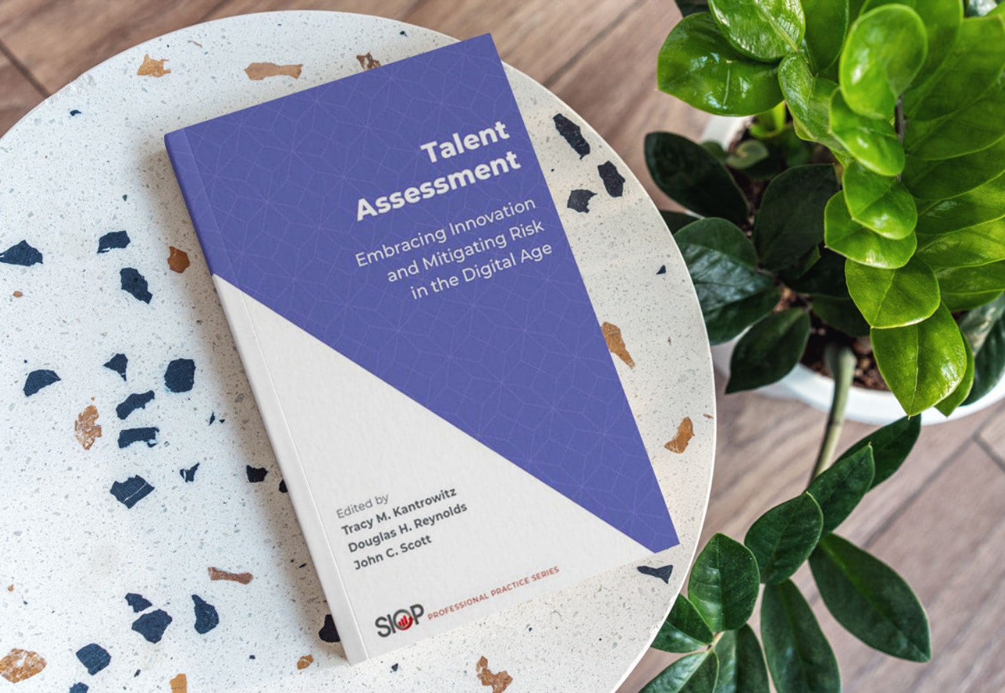 A book sits on a table, next to a green plant. The title of the book is Talent Assessment.